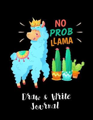 Book cover for No Prob Llama Draw & Write