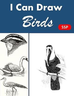 Book cover for I Can Draw Birds