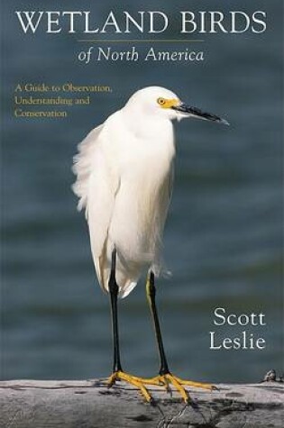 Cover of Wetland Birds of North America