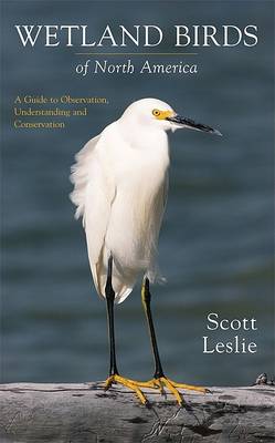 Book cover for Wetland Birds of North America