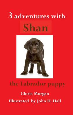 Book cover for Three Adventures with Shan