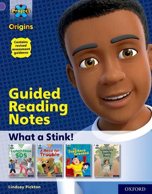 Book cover for Project X Origins: Purple Book Band, Oxford Level 8: What a Stink!: Guided reading notes