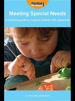 Book cover for Meeting Special Needs