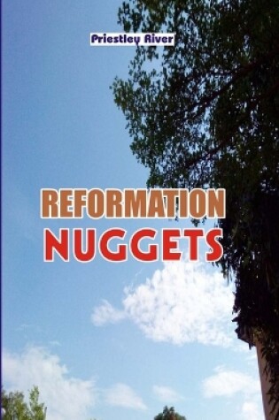 Cover of Reformation Nuggets