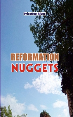 Book cover for Reformation Nuggets