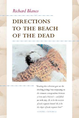 Book cover for Directions to the Beach of the Dead