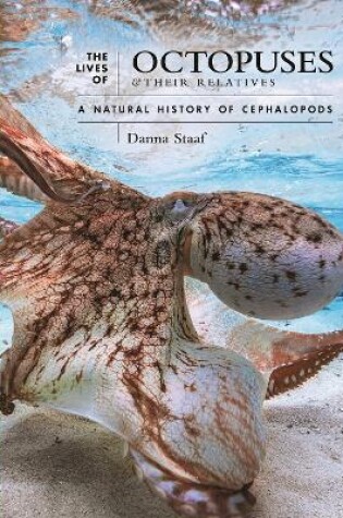 Cover of The Lives of Octopuses and Their Relatives