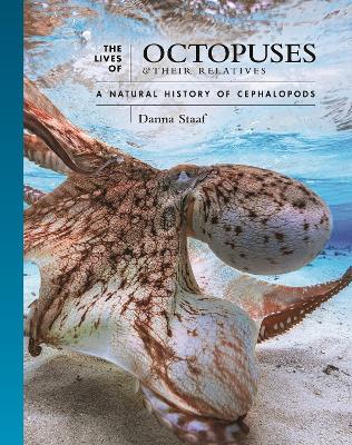 Book cover for The Lives of Octopuses and Their Relatives