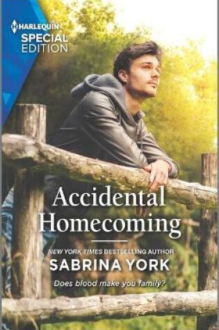 Cover of Accidental Homecoming