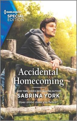 Book cover for Accidental Homecoming