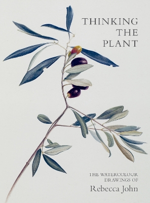 Book cover for Thinking the Plant