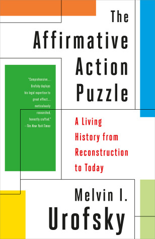 Book cover for The Affirmative Action Puzzle