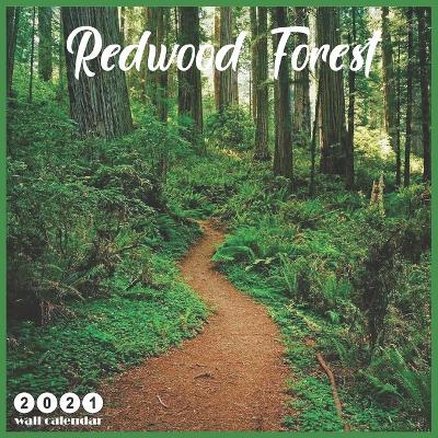 Book cover for Redwood Forest 2021 Wall Calendar