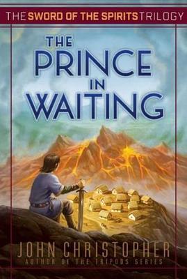 Book cover for The Prince in Waiting