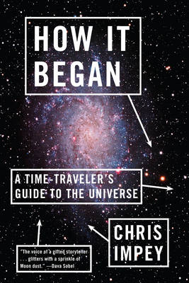 Book cover for How It Began