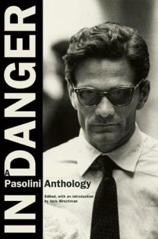 Cover of In Danger