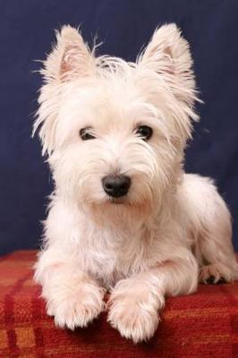 Book cover for Westie Pup - West Highland Terrier Puppy Journal