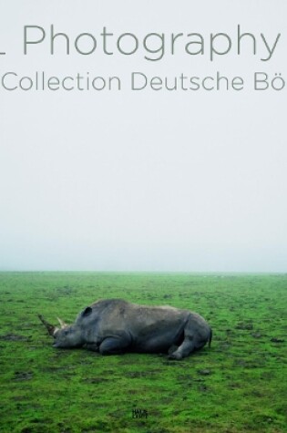 Cover of XL Photography 4: Art Collection Germane Börse