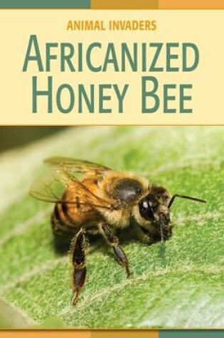 Cover of Africanized Honey Bee