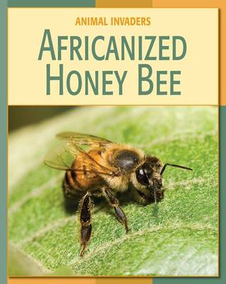 Book cover for Africanized Honey Bee