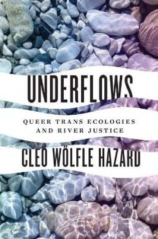 Cover of Underflows