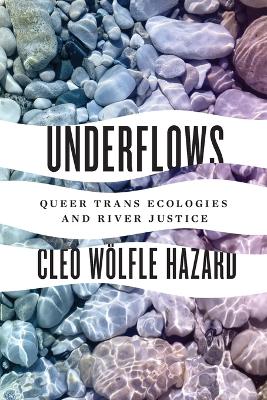 Book cover for Underflows