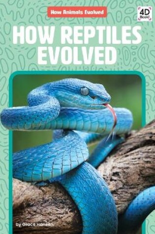 Cover of How Reptiles Evolved