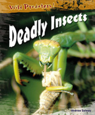 Book cover for Deadly Insects