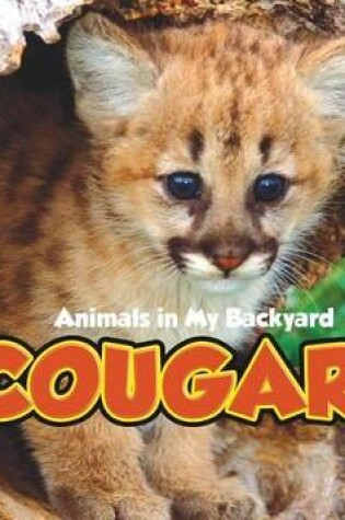 Cover of Cougars