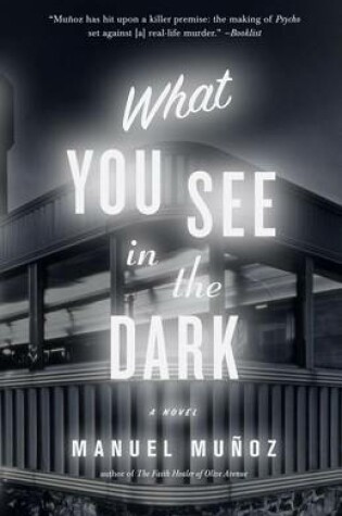Cover of What You See in the Dark