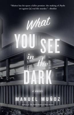 Book cover for What You See in the Dark