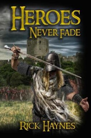 Cover of HEROES NEVER FADE 2nd EDITION