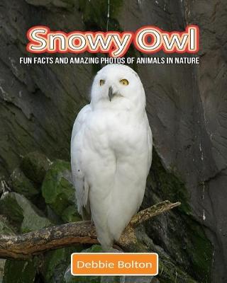 Book cover for Snowy Owl