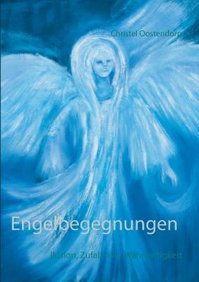 Cover of Engelbegegnungen