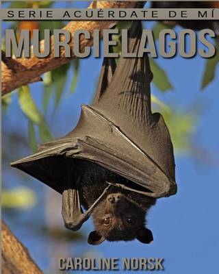 Book cover for Murcielagos