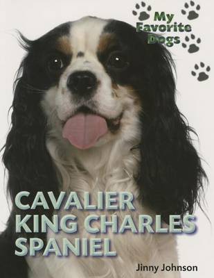 Book cover for Cavalier King Charles Spaniel