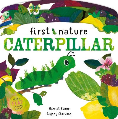 Cover of Caterpillar