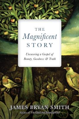 Book cover for The Magnificent Story