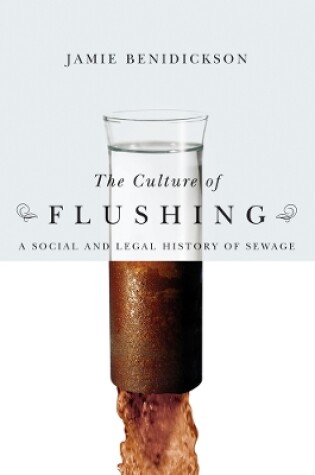 Cover of The Culture of Flushing