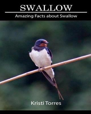 Book cover for Amazing Facts about Swallow