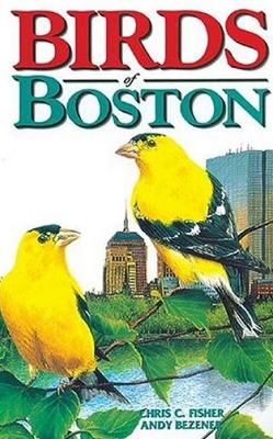 Book cover for Birds of Boston