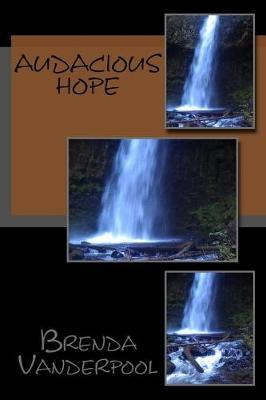 Book cover for Audacious Hope