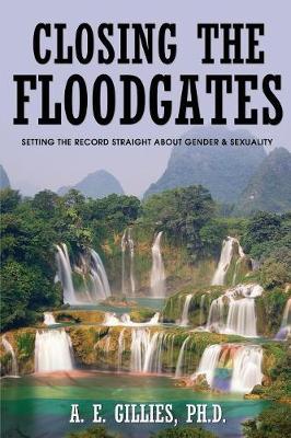 Book cover for Closing the Floodgates
