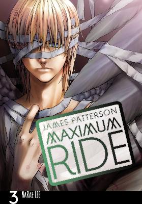 Book cover for Maximum Ride: The Manga, Vol. 3