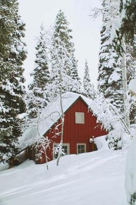 Book cover for Snowed in Cabin Notebook