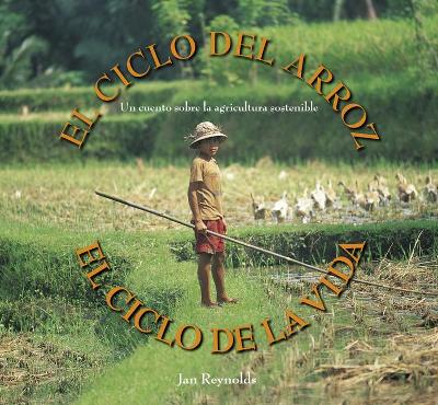 Book cover for El Ciclo del Arroz, El Ciclo de la Vida