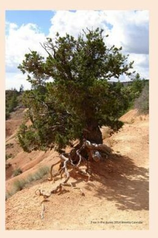 Cover of Tree in the dunes 2014 Weekly Calendar