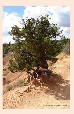 Book cover for Tree in the dunes 2014 Weekly Calendar