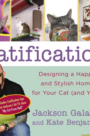 Cover of Catification
