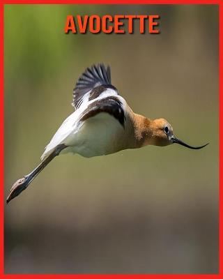 Book cover for Avocette